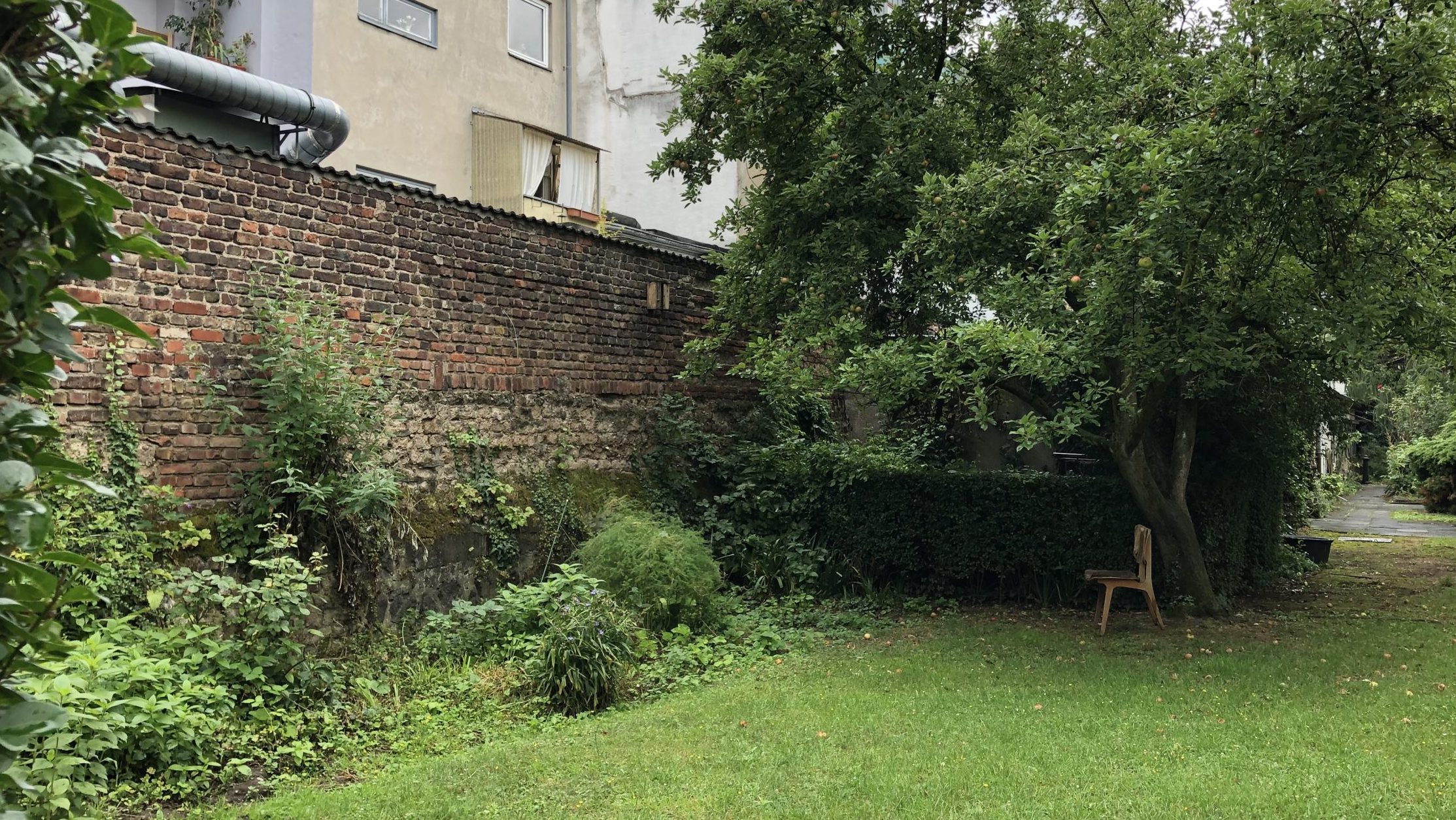 Mehr über den Artikel erfahren Bestandsaufnahme der denkmalgeschützten Grenzwand