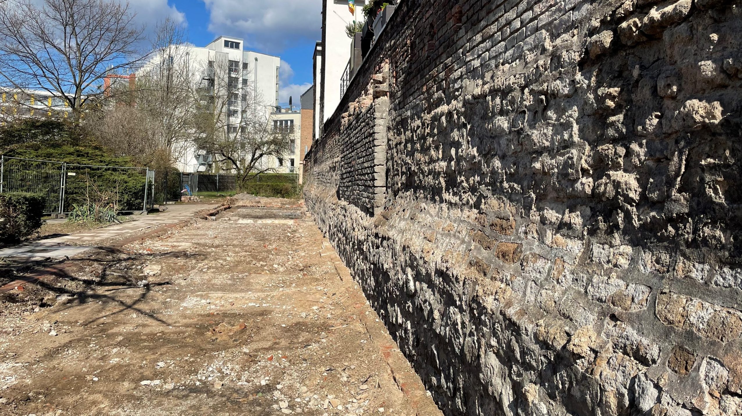 Mehr über den Artikel erfahren Klostermauer aus dem 14. Jahrhundert am Kartäuserwall freigelegt